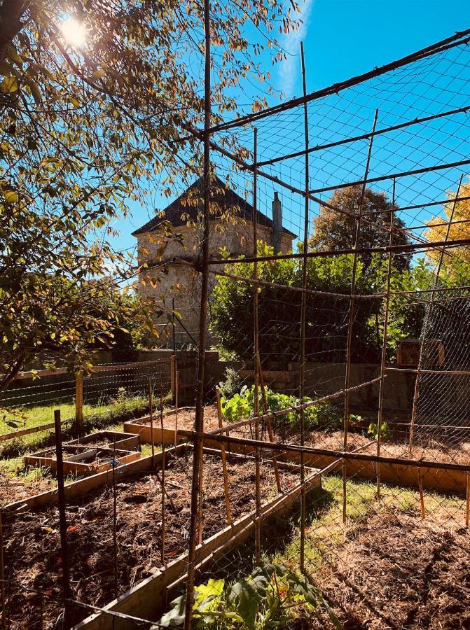 Pool House-L'Hirondelle De Sermizelles- Grand Jardin, Calme Et Nature Aux Portes Du Morvan Εξωτερικό φωτογραφία