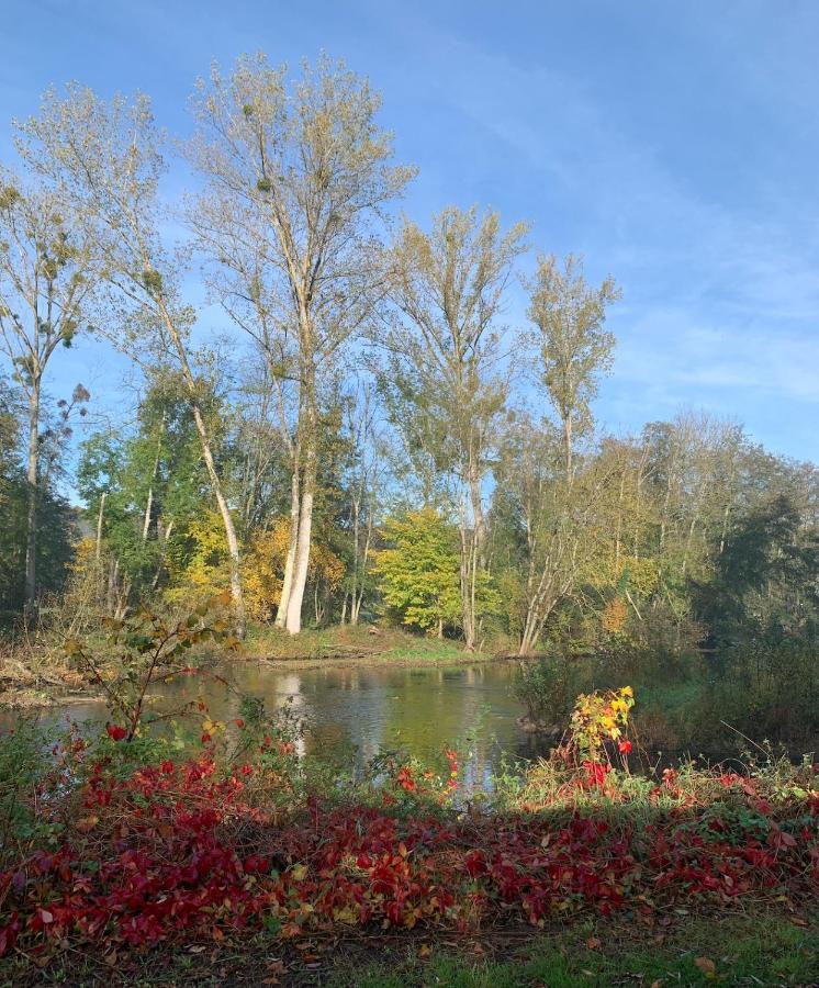 Pool House-L'Hirondelle De Sermizelles- Grand Jardin, Calme Et Nature Aux Portes Du Morvan Εξωτερικό φωτογραφία