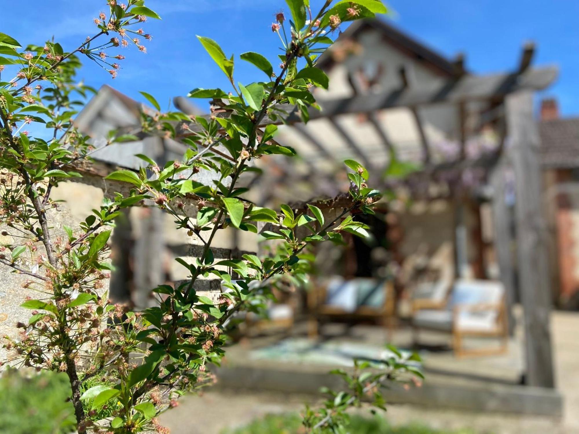 Pool House-L'Hirondelle De Sermizelles- Grand Jardin, Calme Et Nature Aux Portes Du Morvan Εξωτερικό φωτογραφία