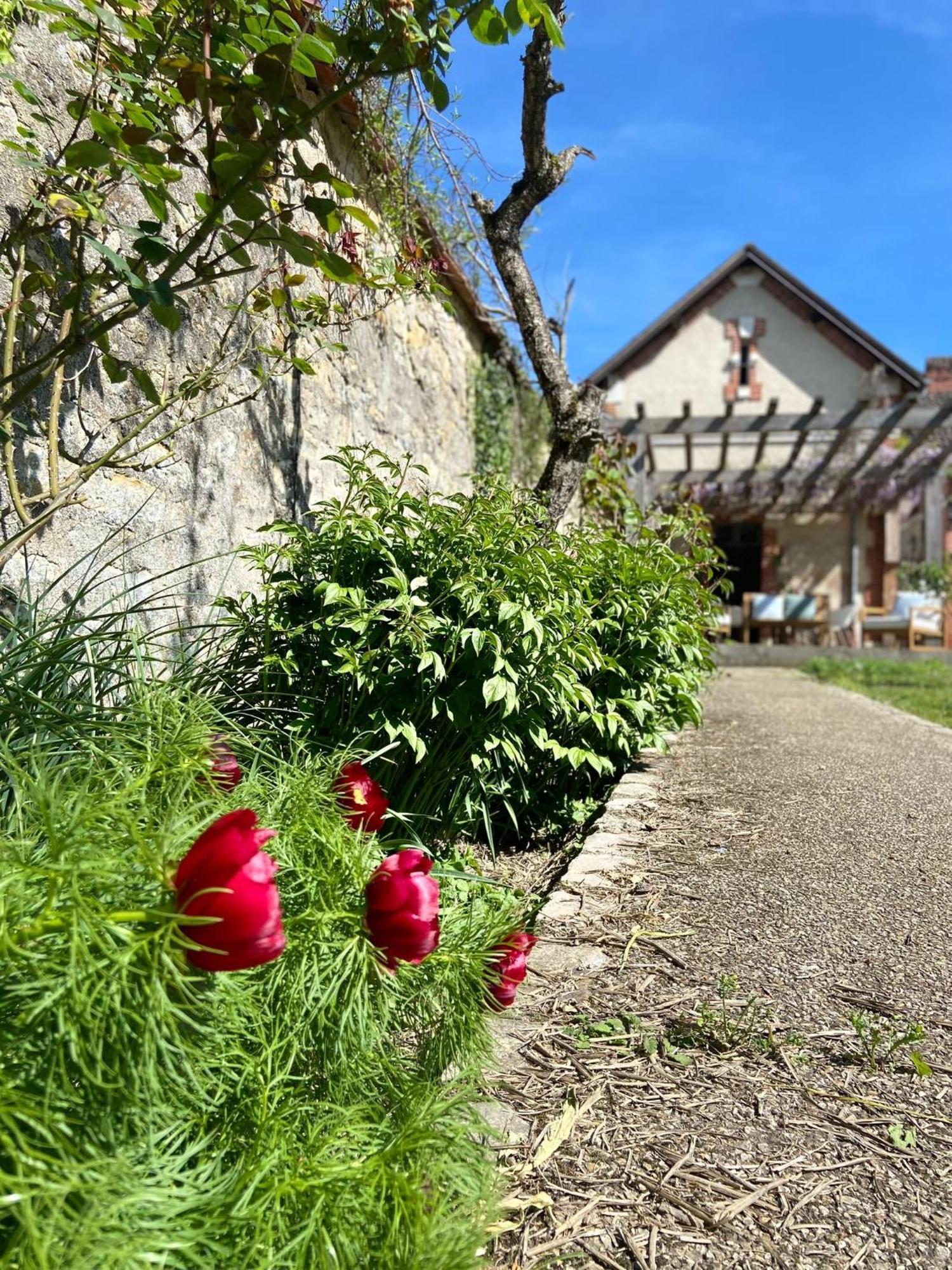 Pool House-L'Hirondelle De Sermizelles- Grand Jardin, Calme Et Nature Aux Portes Du Morvan Εξωτερικό φωτογραφία